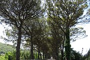 Triest2014_381