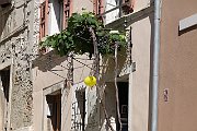 Triest2014_402_Piran