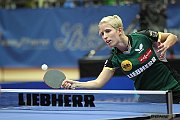 ech2013 d02 184