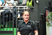 ech2013 d02 212