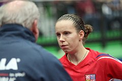 ech2013_d03_287