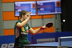 ech2013_d03_308
