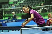 ech2013 d06 117