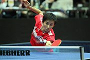 ech2013 d08 401